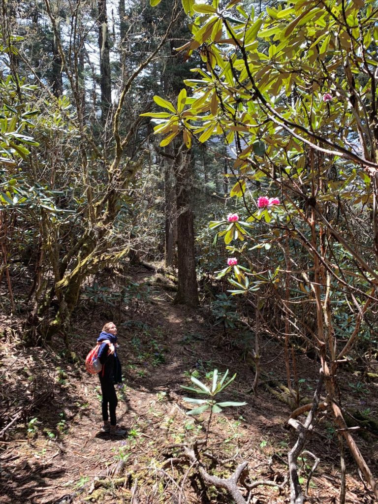 Elton Yoga students in contemplation on a forest hike in Bhutan.