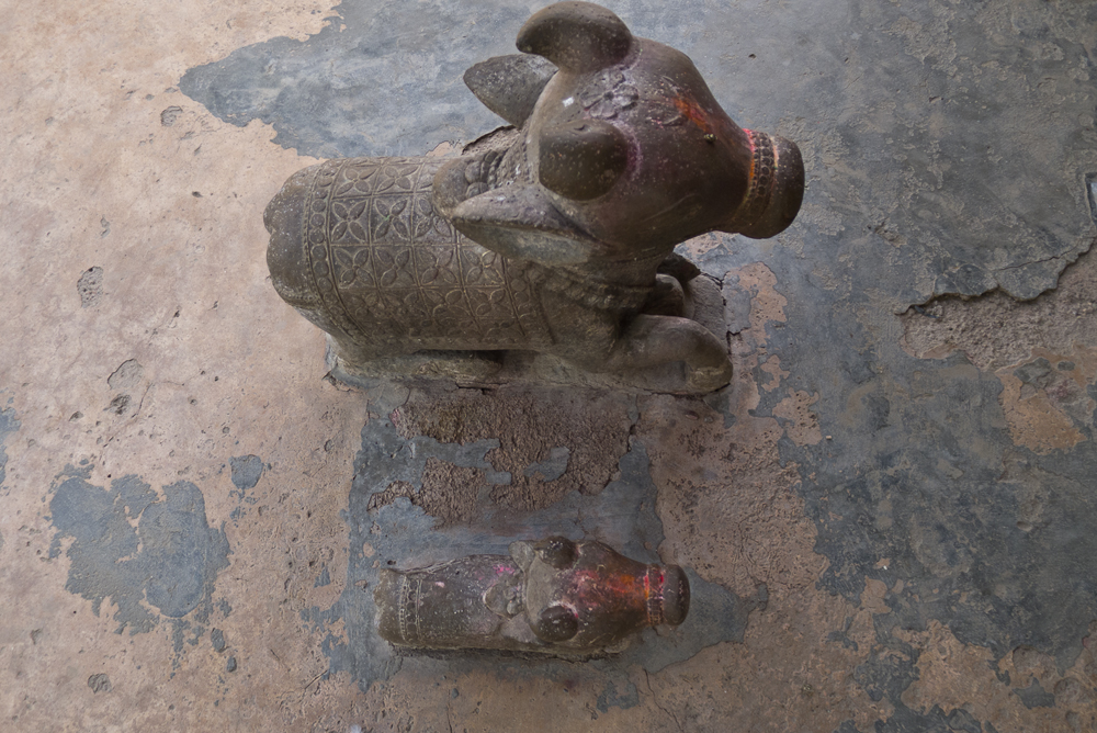 Nandi, Outer Pradaktion, Varanasi, India