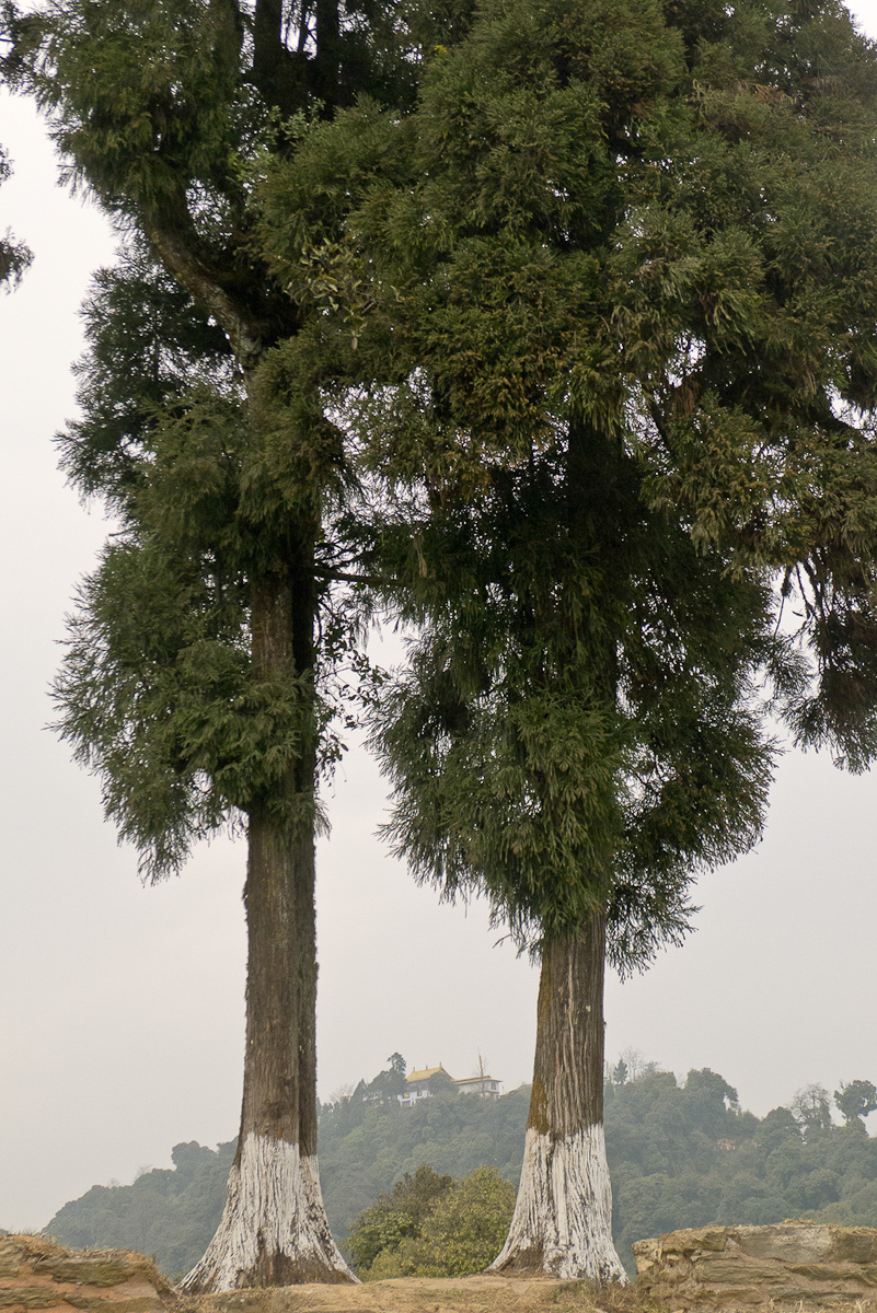 View towards Pemayangtse Monastery from Rabdentse, Sikkim