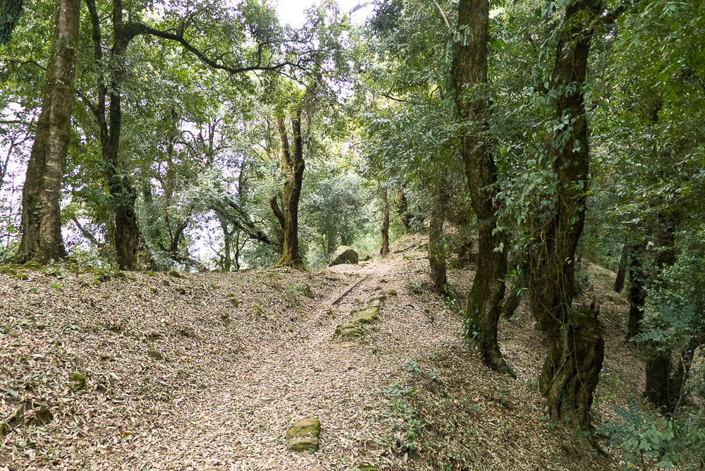 Yuksom, West Sikkim