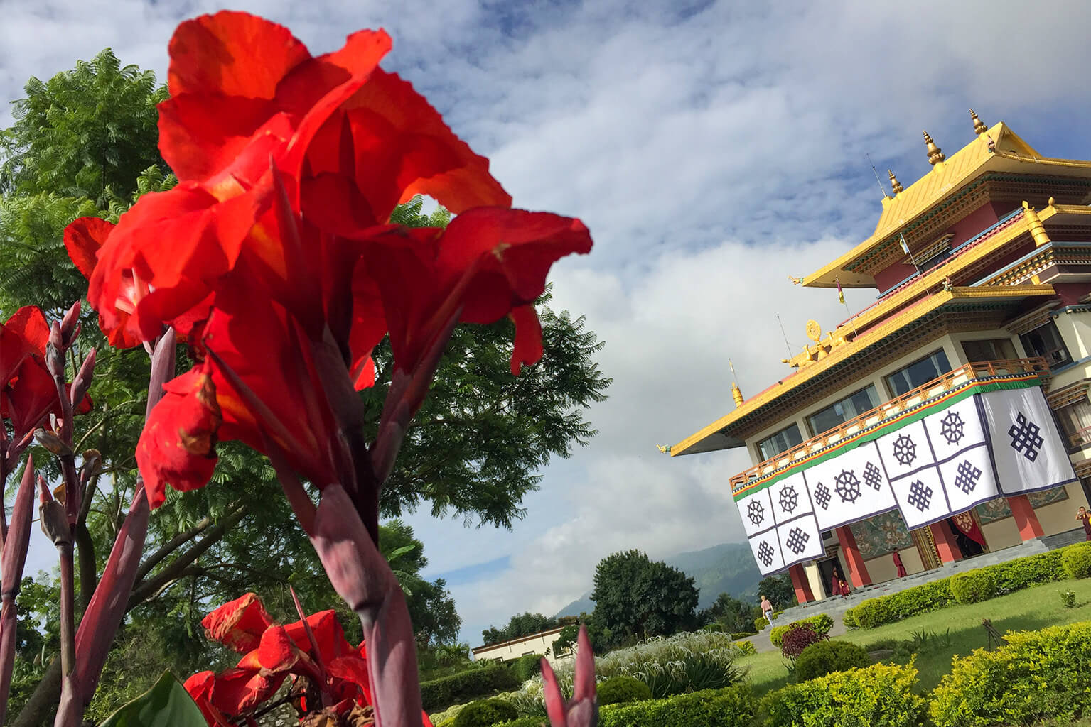 Neydo Monatery in the distance with red canna lilies blooming in the foreground.
