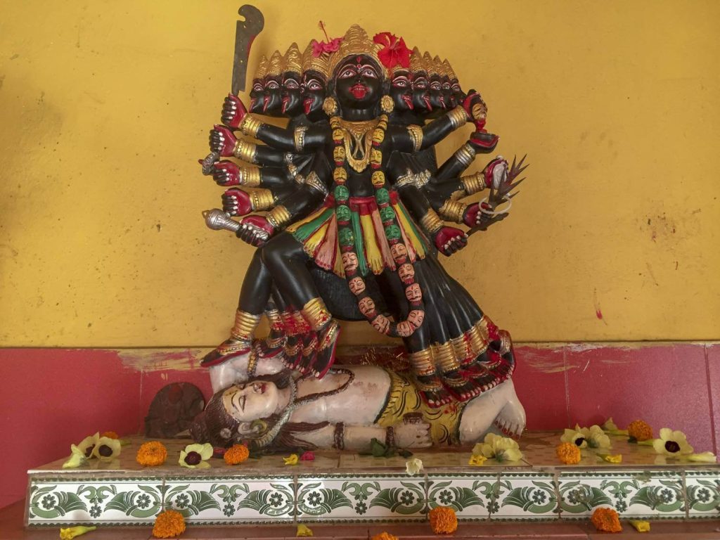 Kali statue at the West Bengal Yogi Baba Ashram
