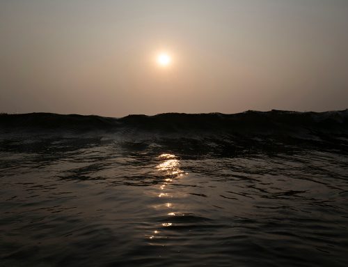 My Pandemic Life in India: Part 3 – Camurlim, Goa