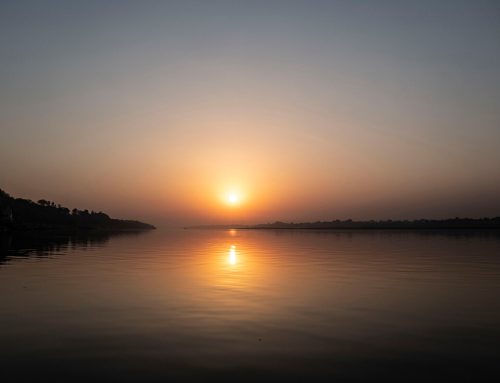 My Pandemic Life in India: Part 4 – Maheshwar, Madhya Pradesh